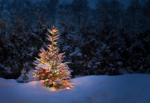 TV 2’s juledækning er uambitiøs