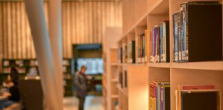 AI i folkeskolen: Er DA tonedøve, håbløst gammeldags eller slet og ret uvidende? Bøger eller skærme - det første giver mere læring og trivsel hos børn, foto: Alexei Maridashvili