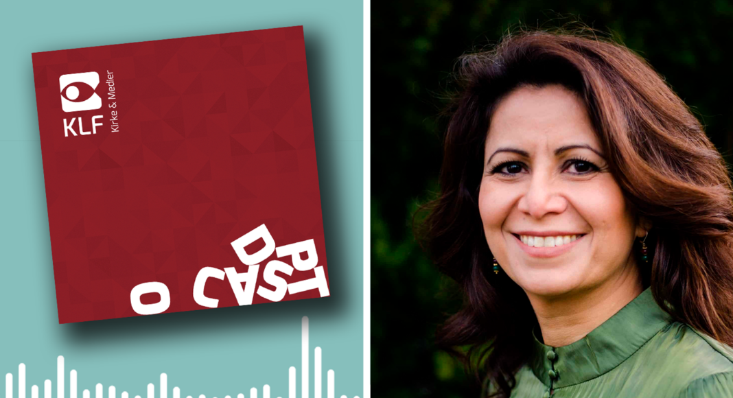 Tech-industrien og demokratiets sprog er emnerne i podcasten.